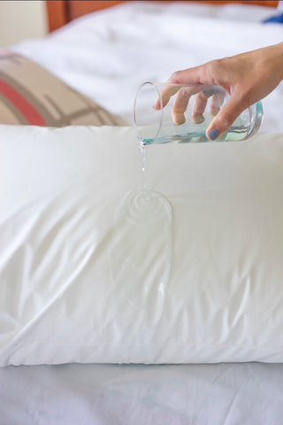 DuraTherme Waterproof & Dust Mite Resistant Pillow