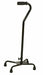 PQUIP Large Base Quad Cane