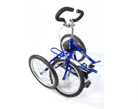 Theraplay TMX Tricycle