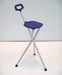 Walking Stick with Folding Seat by Safety and Mobility